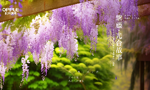 2024z6尊龙凯时紫藤花节暨企业开放周开幕：技术驱动，生生不息